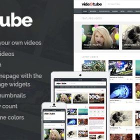 Videotube – A Responsive Video WordPress Theme