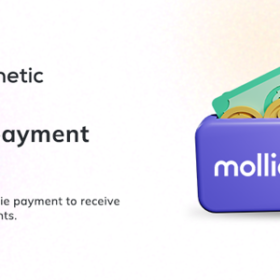 Booknetic - Mollie Payment